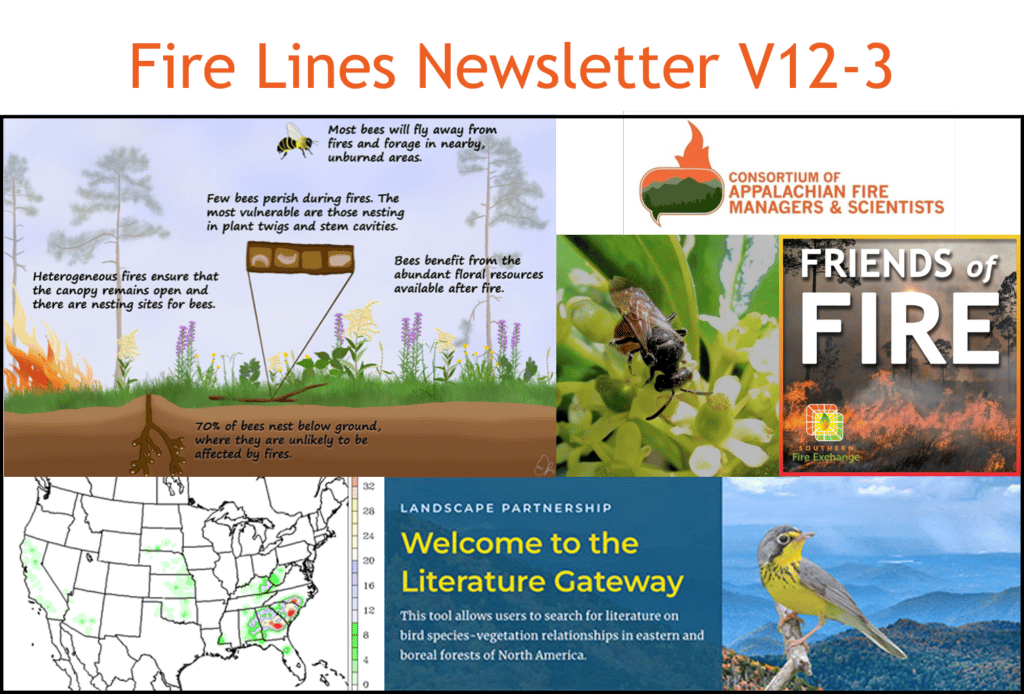 Fire Lines Newsletter 12.3