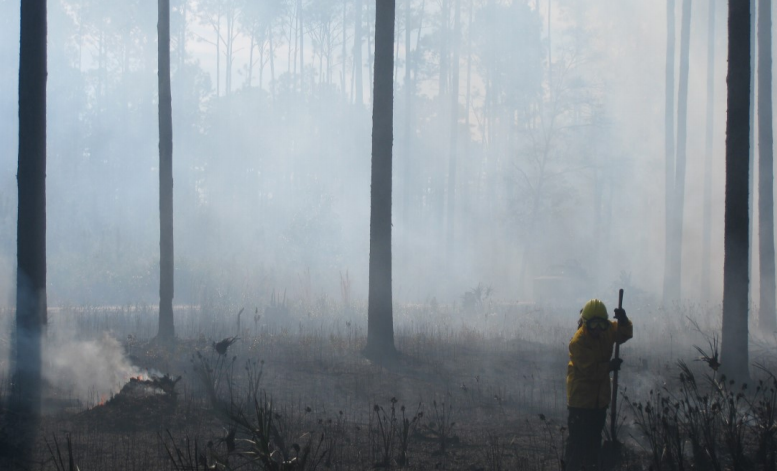 Photo of a wildland firefighter working in a smoke filled environment.