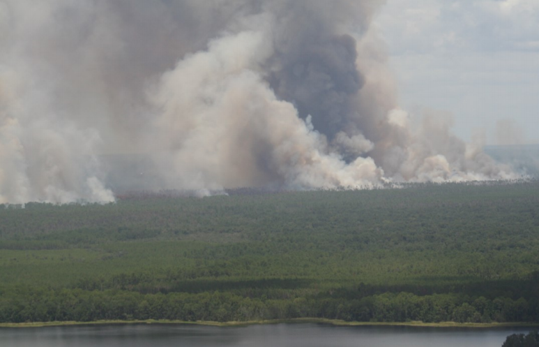 Photo of a smoke plume provided by Leda Kobziar.