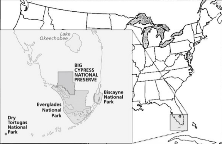 Map showing the location of Big Cypress National Preserve in south Florida.