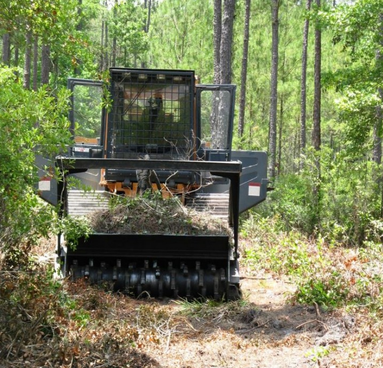 Several studies in the Southeast have explored the effectiveness of mechanical and herbicide treatments on ecosystem restoration and management goals.
