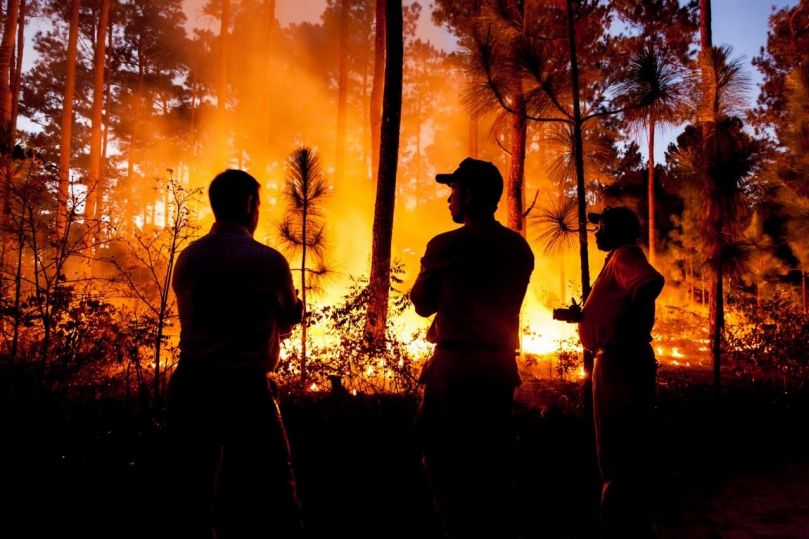 Members of the North Carolina Sandhills PBA shared resources and equipment to conduct a prescribed burn on a landowner's property.