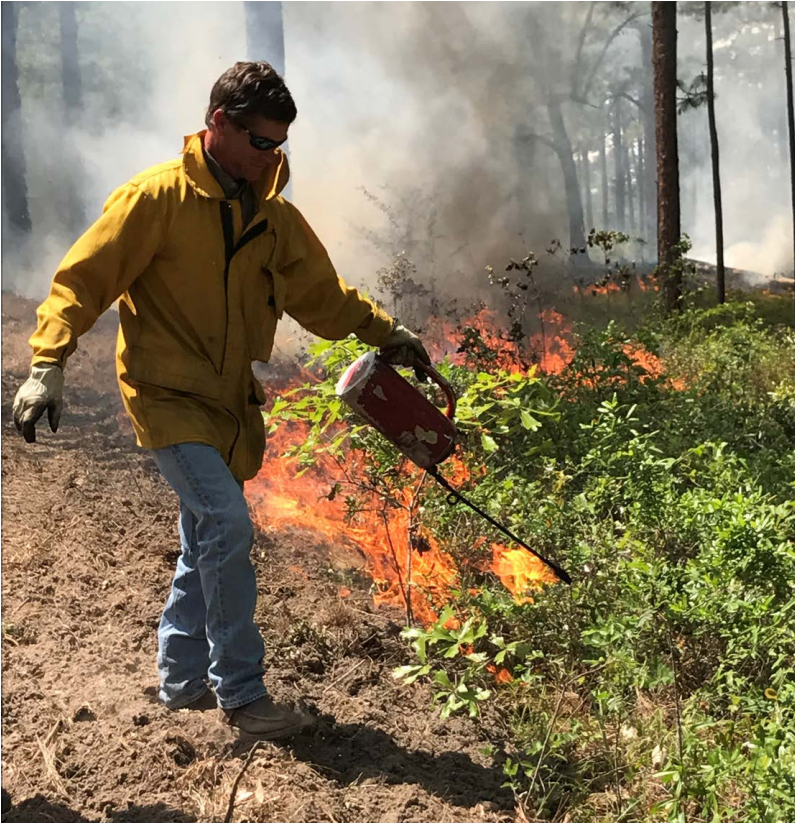 Photo of burner using a drip torch to light a line in Georgia
