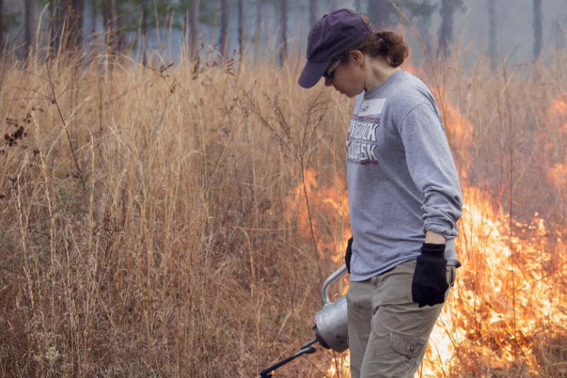 Photo of burner using a drip torch to light a line at the Alabama Learn and Burn 2018