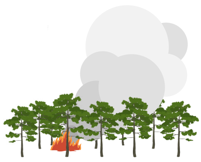 Clipart of a fire burning in a pineland forest with smoke rising up into the air.