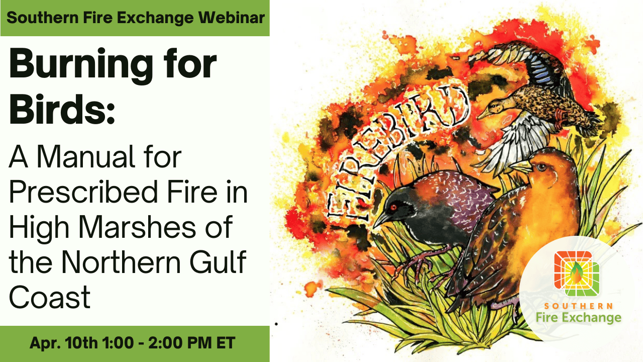 Decorative webinar graphic