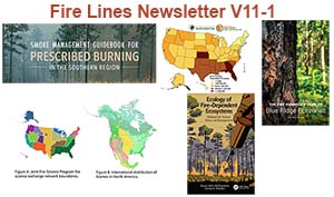 Fire Lines Newsletter Volume 11 Issue 1